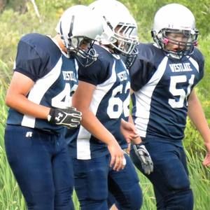 Meet your Posher, Tanner